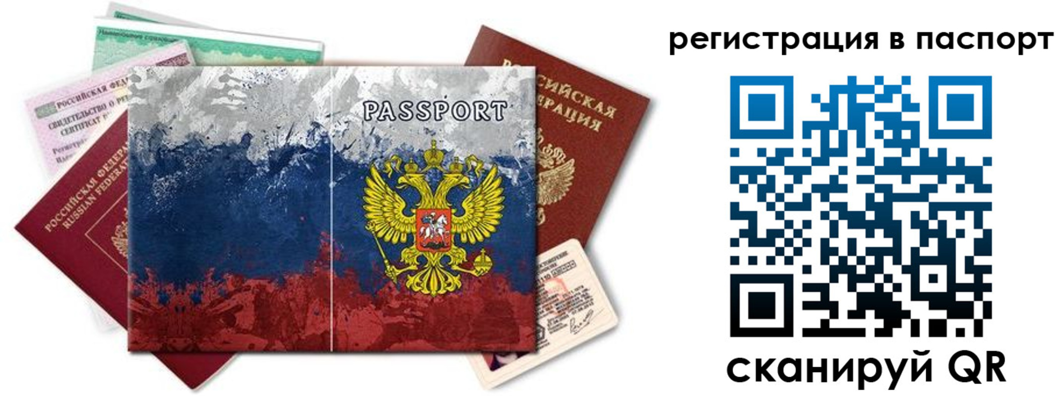 прописка поиск в Тимашёвске